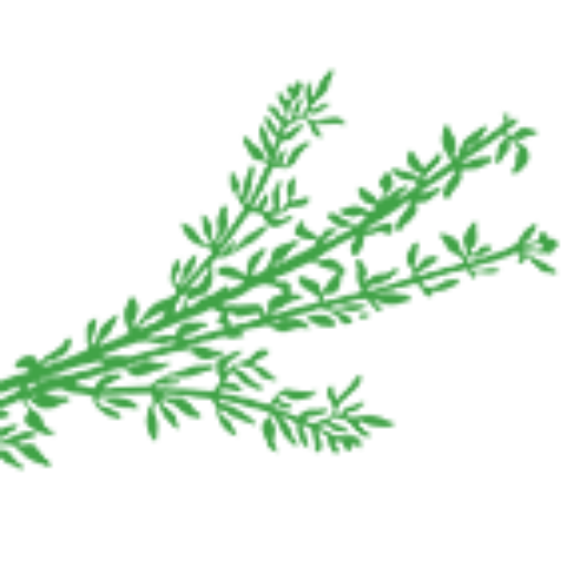 croppedFreshThymebundlelogo.png Fresh Thyme Catering